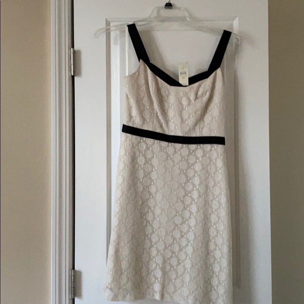 Ann Taylor loft petite dress